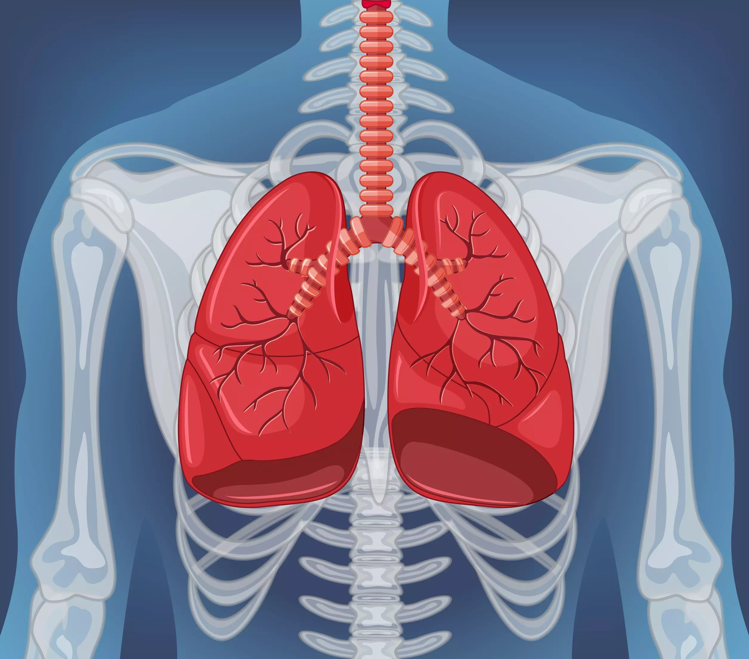 Curso de Rehabilitación pulmonar
